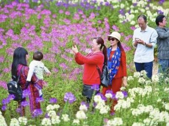 文旅部：省（区、市）内无中高风险地区后可恢复跨省团队旅游