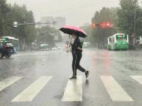 青岛今天上午这场雨下得有多大？来看照片