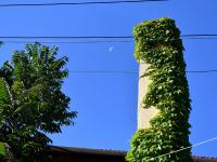 青岛“转了一圈又回来”的那条路，是它？