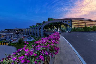 那片蓝天，曾见证离开与归来，让我用最美的样子与你道别！| 挥别流亭③