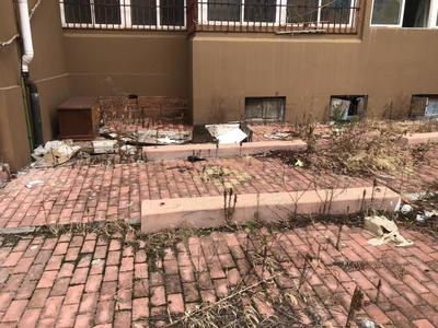 记者在现场|居民楼后存卫生死角 杂草丛生亟待清理