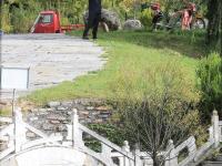 美呆了！这个桃花岛可以承包你的十一假期