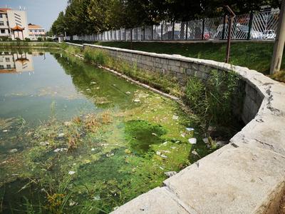 记者在现场ￜ公园脏乱 居民休闲之地难称心