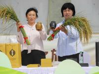 捞螃蟹、品螃蟹……他们这样过农民丰收节 