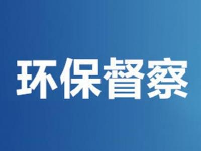 青岛市领导对中央第二生态环境保护督察组交办信访问题进行督导检查