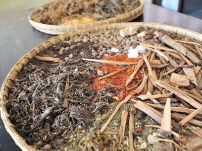 中药材掀“涨价潮”！返乡大学生回家“种药”年入超40万元