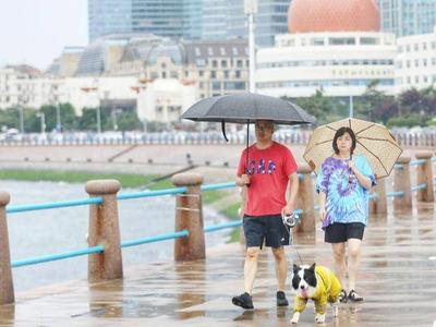今年雨带是否异常？秋雨季情况如何？中国气象局相关专家解析来了