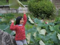 美呆了！这个桃花岛可以承包你的十一假期