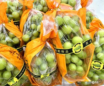 阳光玫瑰下凡 岛城实现葡萄自由