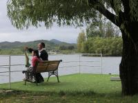 美呆了！这个桃花岛可以承包你的十一假期