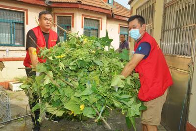 毁绿种菜、楼院堆放杂物、楼道乱贴小广告……青岛这群志愿者出手整治！