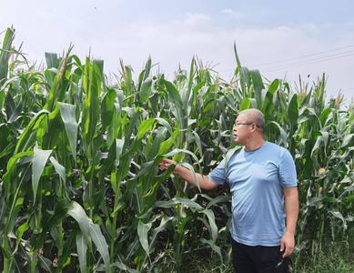 胶州农民国外包地30万亩！苜蓿种植承包人杨树林国外在哈萨克斯坦包地种植的故事