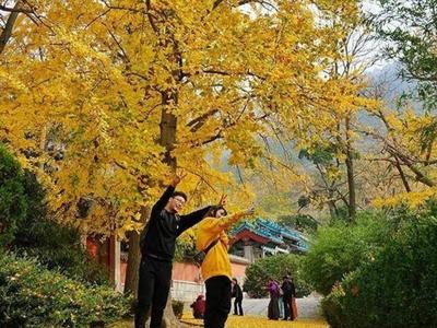 崂山荣登全国榜单！