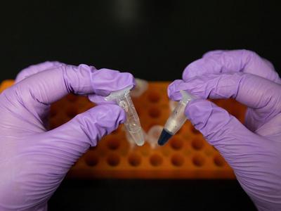 国际重大颠覆性突破！中国首次在实验室实现人工合成淀粉