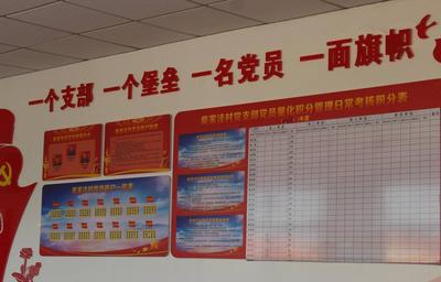 平度市南村镇芙蓉村党委柴家洼党支部推进乡村治理现代化