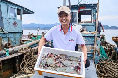 鲍鱼、螃蟹、大海螺...组图带你感受海鲜自由的快乐| 出发，赶海人！⑥