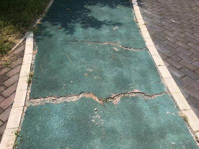 记者在现场|湿地公园设施破损待整修