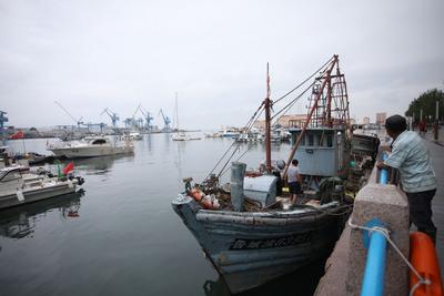 吃货集合！带你“探店”开海后的水产市场|云游青岛