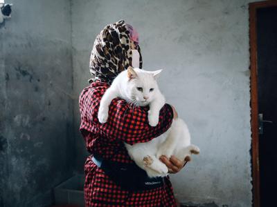 蒙古国接连报告河狸、宠物猫感染新冠病例