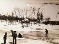 城市影像档案|小西湖旧影：春观樱、夏赏荷、冬溜冰