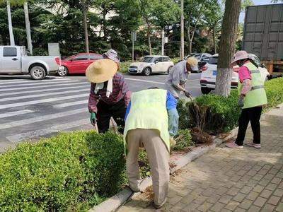 共58处！青岛这个区启动绿化带与斑马线交汇处改造提升