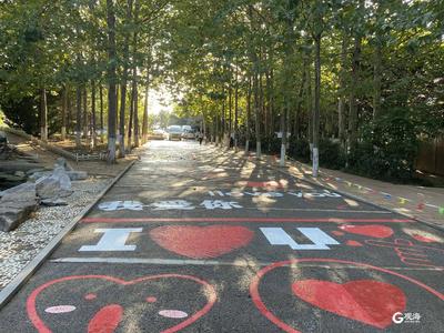 青岛新现一条“爱心路”，吸引诸多有情人打卡，就藏在这