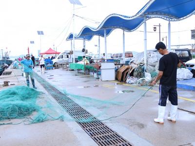 螃蟹、虾虎、舌头鱼……全是海捕的，实拍港东码头开海盛况| 出发，赶海人！②