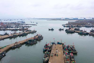 800余艘渔船扬帆，直击西海岸新区最大渔港| 出发，赶海人①