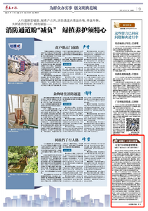 “三我”特刊 | 诸葛汇·口袋公园策 让家门口的绿意更葱茏