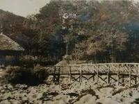 城市影像档案|小西湖旧影：春观樱、夏赏荷、冬溜冰