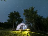 美呆了！这个桃花岛可以承包你的十一假期