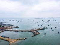 800余艘渔船扬帆，直击西海岸新区最大渔港| 出发，赶海人①