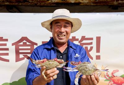 捞螃蟹、品螃蟹……他们这样过农民丰收节 