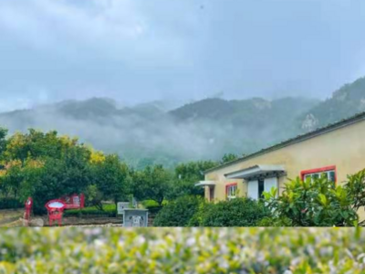 为期1个月！崂山区农民丰收节暨金秋体验季系列活动23日开锣