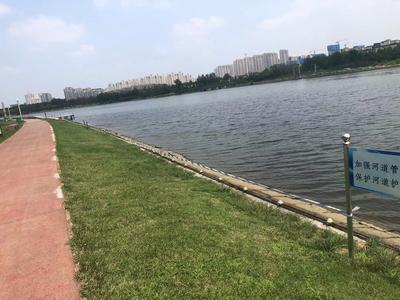 记者在现场|河边没护栏 安全有点“悬”