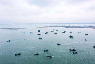 800余艘渔船扬帆，直击西海岸新区最大渔港| 出发，赶海人①