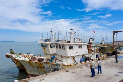 蓝天白云宜出海，仰口渔港金秋第一网正式开撒！| 出发，赶海人！④