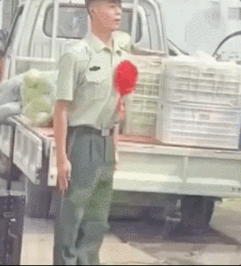 这也许是重逢最好的模样！