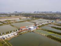 捞螃蟹、品螃蟹……他们这样过农民丰收节 