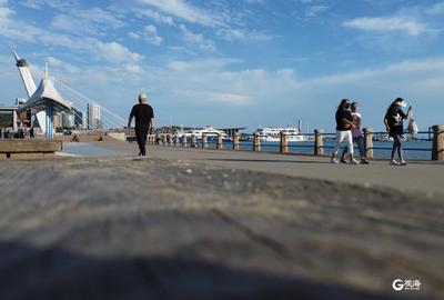 秋高气爽，蓝天白云，岛城美出新高度