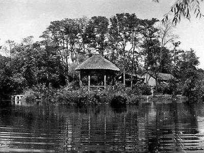 城市影像档案|小西湖旧影：春观樱、夏赏荷、冬溜冰