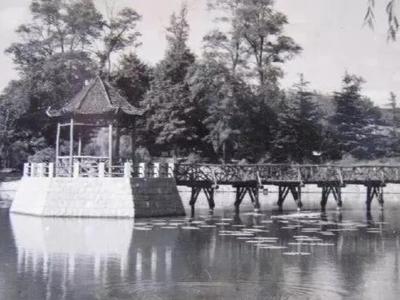 城市影像档案|小西湖旧影：春观樱、夏赏荷、冬溜冰