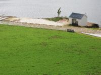 美呆了！这个桃花岛可以承包你的十一假期