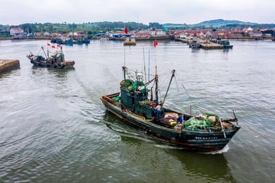 800余艘渔船扬帆，直击西海岸新区最大渔港| 出发，赶海人①