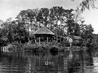 城市影像档案|小西湖旧影：春观樱、夏赏荷、冬溜冰