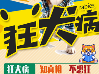 今天是世界狂犬病日！中疾控提醒：知真相，不恐狂