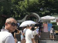 门票免费！小鱼山这个大便宜还不快来捡