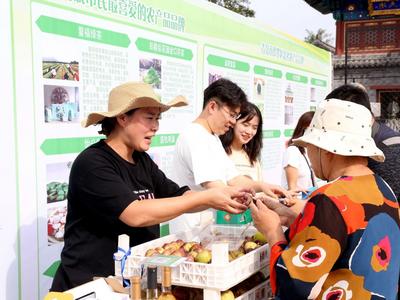 “全国农业综合行政执法示范单位”即墨区这样过丰收节……