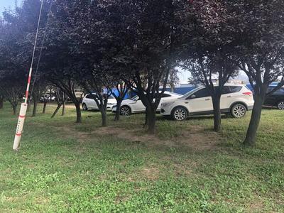 记者在现场ￜ绿化带遭碾轧 成了免费停车场