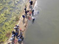 捞螃蟹、品螃蟹……他们这样过农民丰收节 